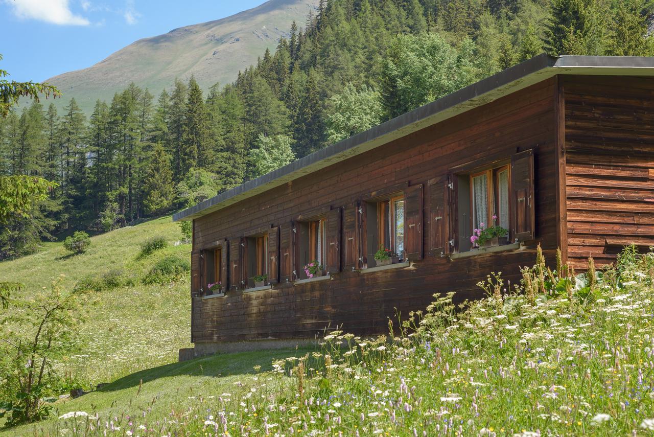 Au Bivouac De Napoleon Et Spa Hotel Bourg-Saint-Pierre Exterior photo